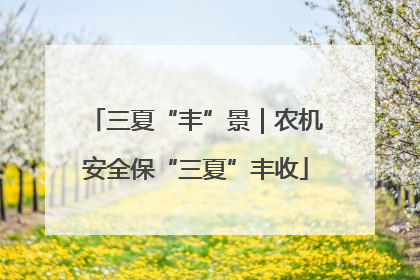 三夏“丰”景｜农机安全保“三夏”丰收