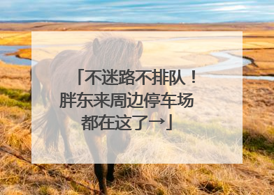 不迷路不排队！胖东来周边停车场都在这了→
