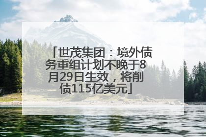 世茂集团：境外债务重组计划不晚于8月29日生效，将削债115亿美元