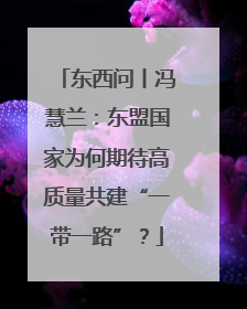东西问丨冯慧兰：东盟国家为何期待高质量共建“一带一路”？