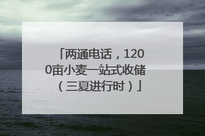 两通电话，1200亩小麦一站式收储（三夏进行时）