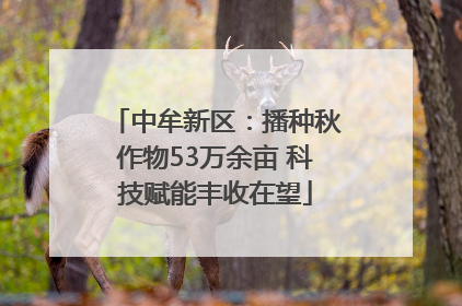 中牟新区：播种秋作物53万余亩 科技赋能丰收在望