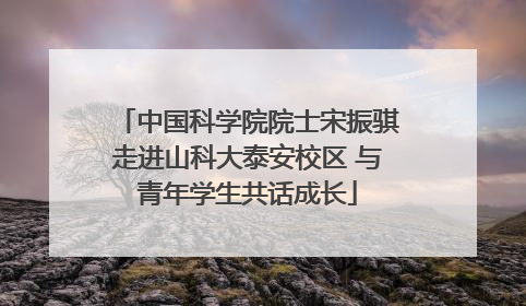 中国科学院院士宋振骐走进山科大泰安校区 与青年学生共话成长