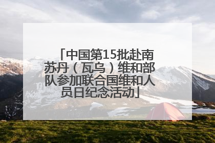 中国第15批赴南苏丹（瓦乌）维和部队参加联合国维和人员日纪念活动