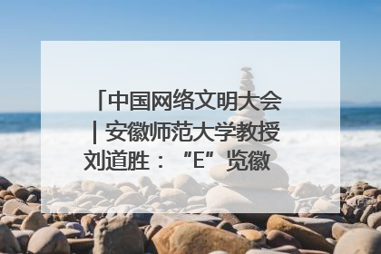 中国网络文明大会｜安徽师范大学教授刘道胜：“E”览徽风，构筑中华民族共有精神家园