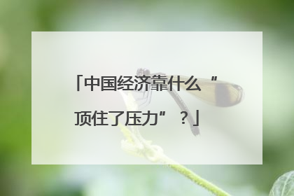 中国经济靠什么“顶住了压力”？