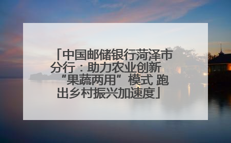 中国邮储银行菏泽市分行：助力农业创新 “果蔬两用”模式 跑出乡村振兴加速度