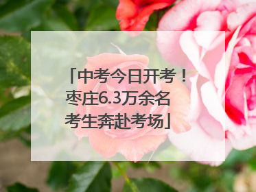 中考今日开考！枣庄6.3万余名考生奔赴考场