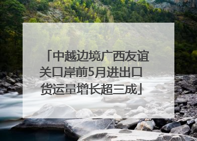 中越边境广西友谊关口岸前5月进出口货运量增长超三成