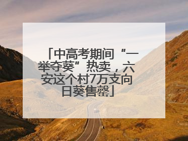 中高考期间“一举夺葵”热卖，六安这个村7万支向日葵售罄