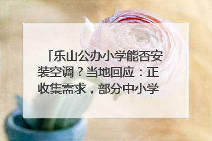乐山公办小学能否安装空调？当地回应：正收集需求，部分中小学已启动安装｜云求助