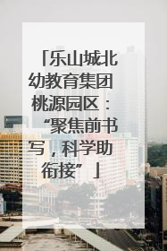 乐山城北幼教育集团桃源园区：“聚焦前书写，科学助衔接”