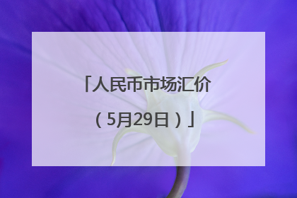 人民币市场汇价（5月29日）