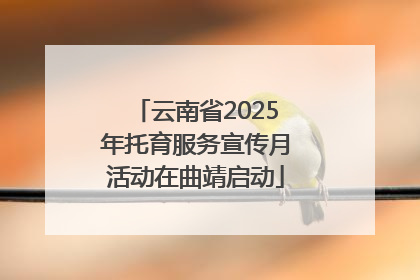 云南省2025年托育服务宣传月活动在曲靖启动