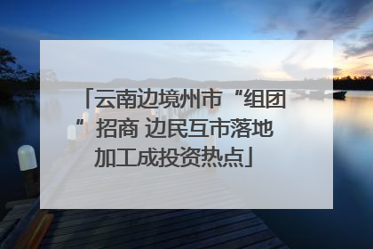 云南边境州市“组团”招商 边民互市落地加工成投资热点