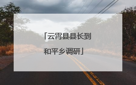 云霄县县长到和平乡调研