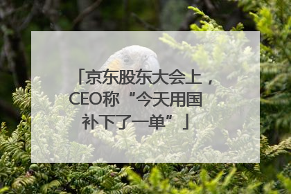 京东股东大会上，CEO称“今天用国补下了一单”