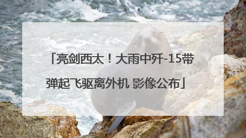 亮剑西太！大雨中歼-15带弹起飞驱离外机 影像公布
