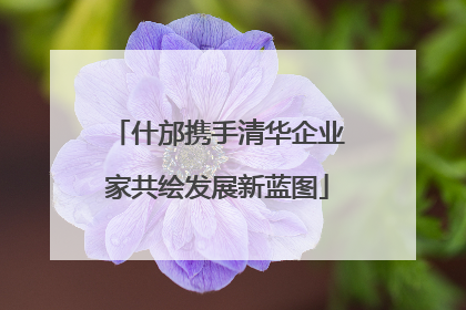 什邡携手清华企业家共绘发展新蓝图