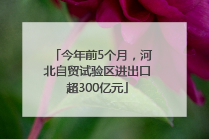 今年前5个月，河北自贸试验区进出口超300亿元