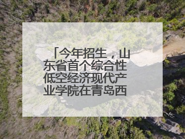 今年招生，山东省首个综合性低空经济现代产业学院在青岛西海岸新区揭牌