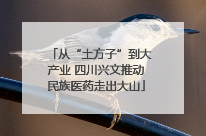 从“土方子”到大产业 四川兴文推动民族医药走出大山