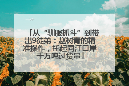 从“驯服抓斗”到带出9徒弟：赵树青的精准操作，托起同江口岸千万吨过货量