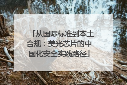 从国际标准到本土合规：美光芯片的中国化安全实践路径
