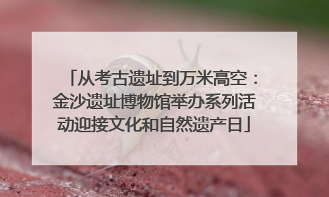 从考古遗址到万米高空：金沙遗址博物馆举办系列活动迎接文化和自然遗产日