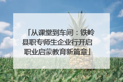 从课堂到车间：铁岭县职专师生企业行开启职业启蒙教育新篇章