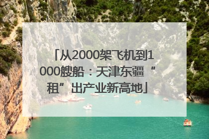 从2000架飞机到1000艘船：天津东疆“租”出产业新高地