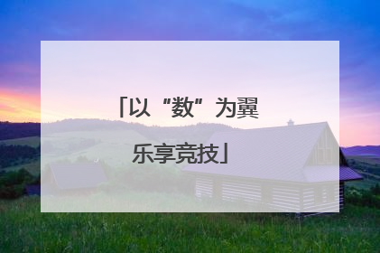 以“数”为翼 乐享竞技