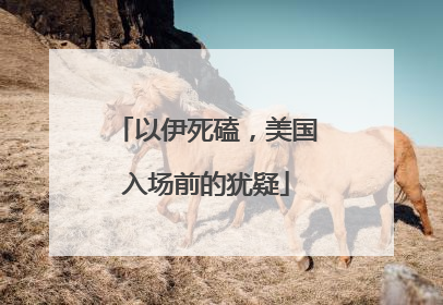 以伊死磕，美国入场前的犹疑