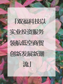 双福科技以实业投资服务领航低空商贸创新发展新潮流