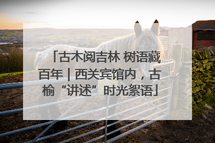 古木阅吉林 树语藏百年｜西关宾馆内，古榆“讲述”时光絮语