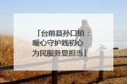 台前县孙口镇：暖心守护践初心 为民服务显担当