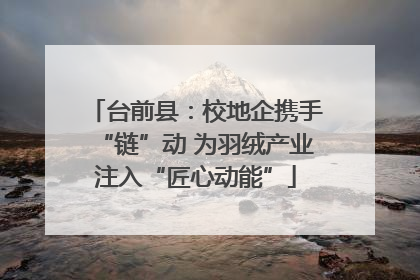 台前县：校地企携手“链”动 为羽绒产业注入“匠心动能”