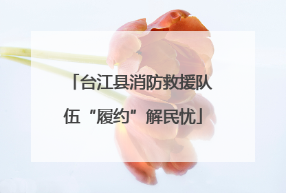 台江县消防救援队伍“履约”解民忧
