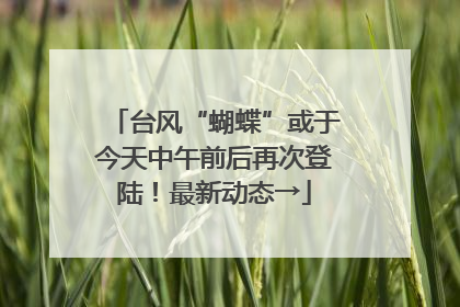 台风“蝴蝶”或于今天中午前后再次登陆！最新动态→