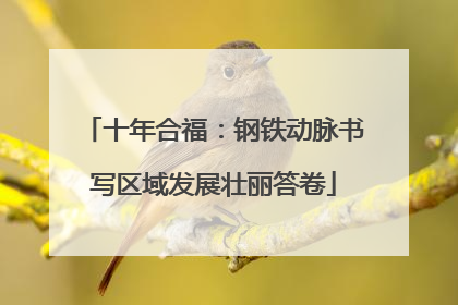 十年合福：钢铁动脉书写区域发展壮丽答卷