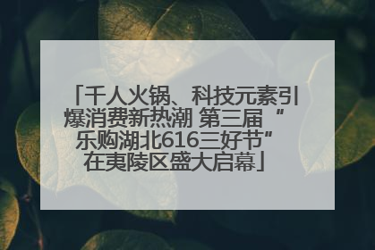 千人火锅、科技元素引爆消费新热潮 第三届“乐购湖北616三好节”在夷陵区盛大启幕