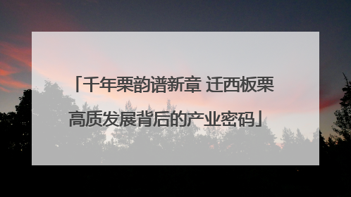 千年栗韵谱新章 迁西板栗高质发展背后的产业密码