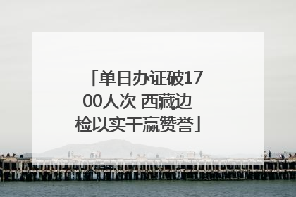 单日办证破1700人次 西藏边检以实干赢赞誉