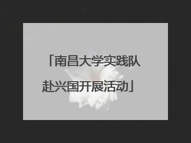 南昌大学实践队赴兴国开展活动