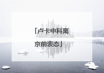 卢卡申科离京前表态
