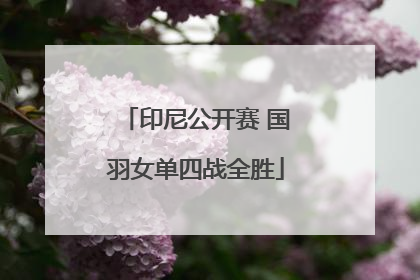 印尼公开赛 国羽女单四战全胜