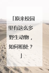 原来校园里有这么多野生动物，如何相处？