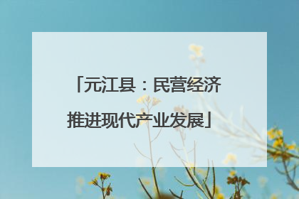 元江县：民营经济推进现代产业发展