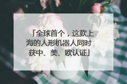 全球首个，这款上海的人形机器人同时获中、美、欧认证