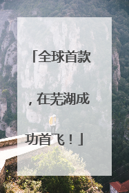 全球首款，在芜湖成功首飞！